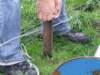 _0906hf_velddagen0078_small.jpg
