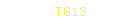T813
