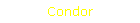 Condor