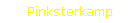 Pinksterkamp