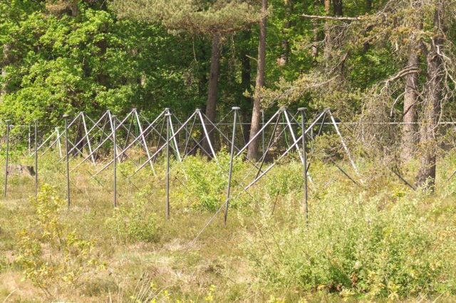 _0506excursie0027.jpg