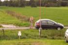 _0902zomer20070418_small.jpg