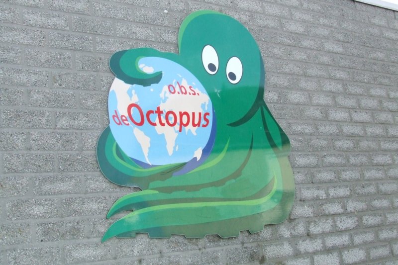_0310octopus_mrt20070005.jpg