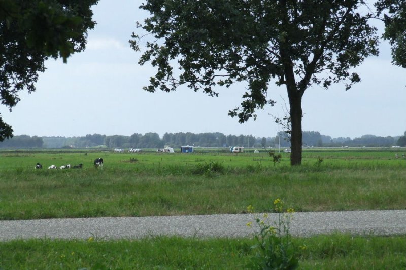 _0906hf_velddagen0112.jpg