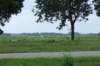 _0906hf_velddagen0112_small.jpg