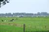 _0906hf_velddagen0116_small.jpg