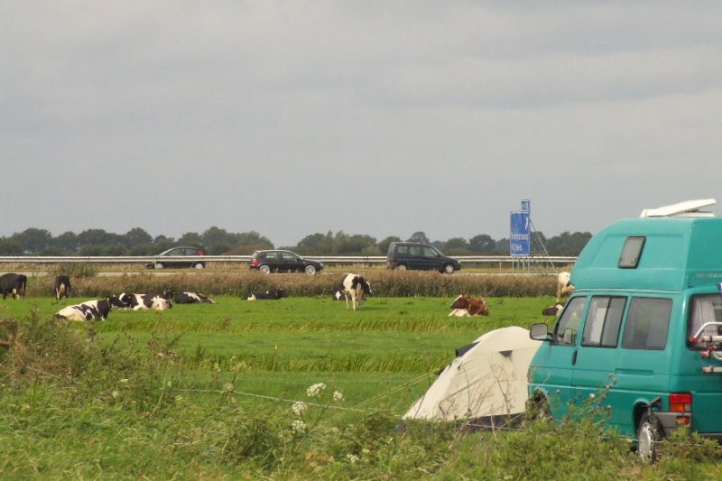_0906hf_velddagen0171.jpg